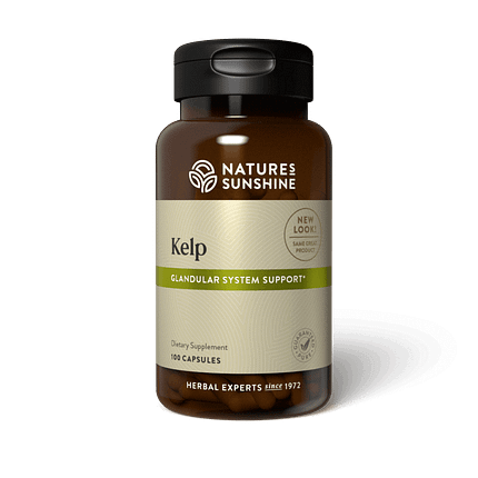 kelp